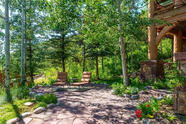 2990 Heavenly Vw, Steamboat Springs, CO 80487 - photo 43