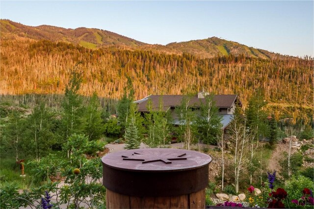 2990 Heavenly Vw, Steamboat Springs, CO 80487 - photo 21