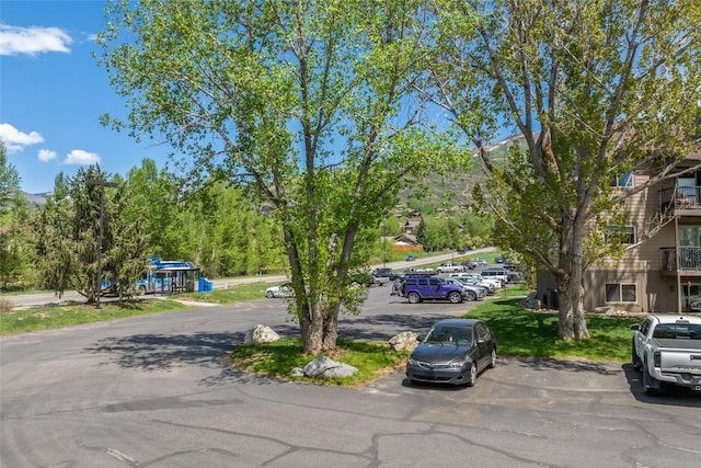 1525 Shadow Run Frontage Unit 204, Steamboat Springs, CO 80487 - photo 16
