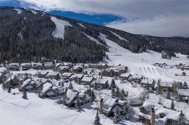 40 Fairway Ln Unit 31, Copper Mountain, CO 80443 - mountain view