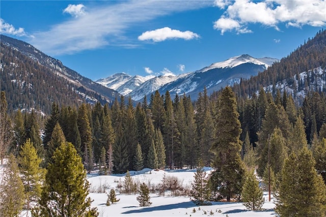 616 Montezuma Rd Unit C-1, Keystone, CO 80435 - view of mountain background featuring a forest