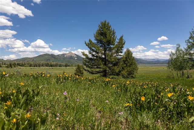 60800 Floyd Creek Rd, Clark, CO 80428 - photo 9