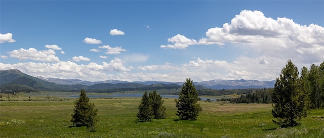 60800 Floyd Creek Rd, Clark, CO 80428 - photo 4