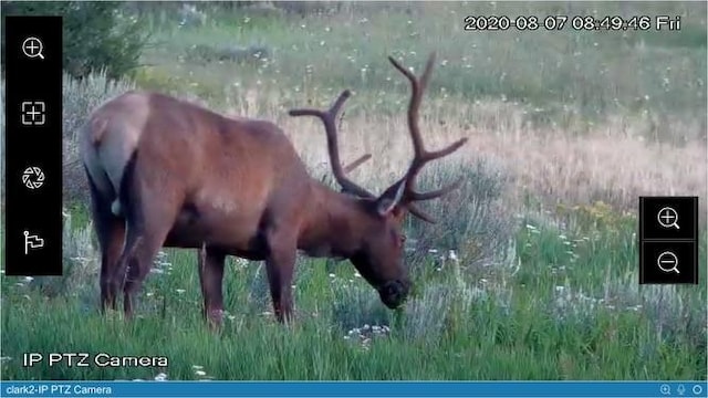 60800 Floyd Creek Rd, Clark, CO 80428 - photo 23