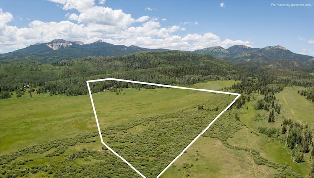 60800 Floyd Creek Rd, Clark, CO 80428 - photo 29