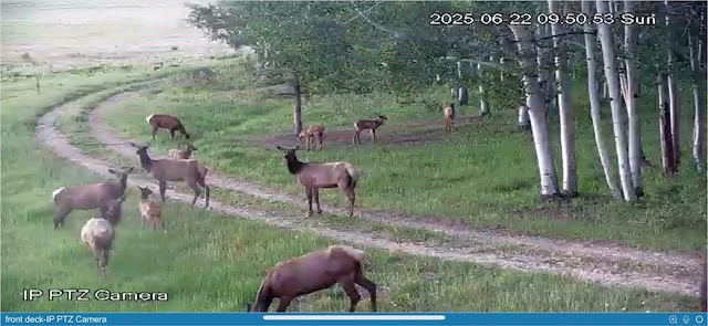 60800 Floyd Creek Rd, Clark, CO 80428 - photo 22