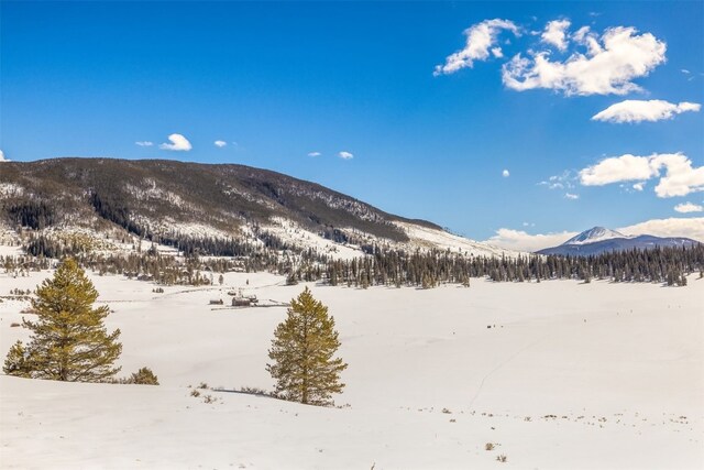 82 Potentilla Ln, Keystone, CO 80435 - property view of mountains