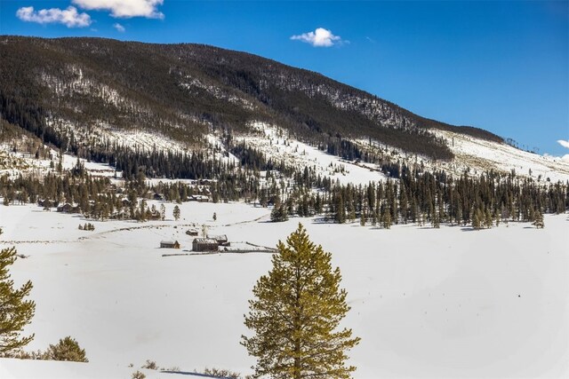 82 Potentilla Ln, Keystone, CO 80435 - view of mountain feature