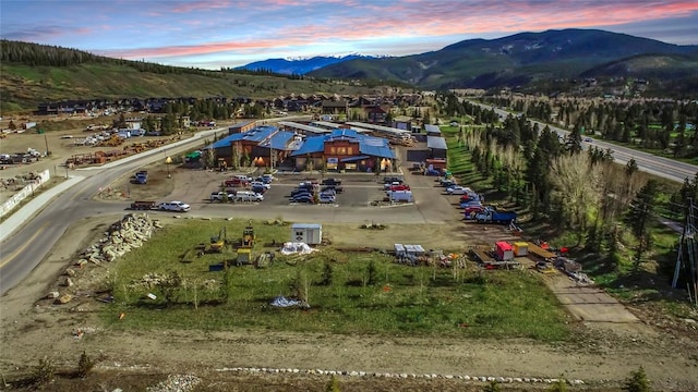 190 Stan Miller Dr, Breckenridge, CO 80424