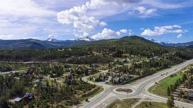 190 Stan Miller Dr, Breckenridge, CO 80424