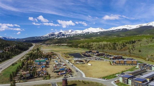 190 Stan Miller Dr, Breckenridge, CO 80424