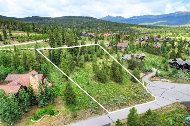 407 Lake Edge Dr, Breckenridge, CO 80424 - photo 2