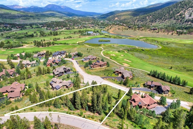407 Lake Edge Dr, Breckenridge, CO 80424 - photo 4