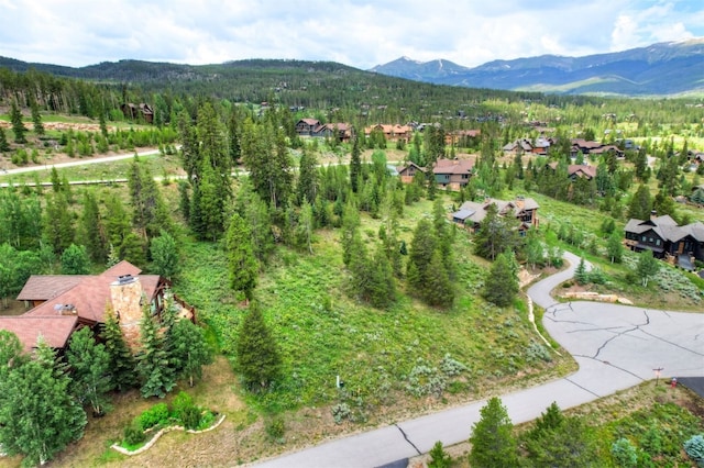 407 Lake Edge Dr, Breckenridge, CO 80424 - photo 7