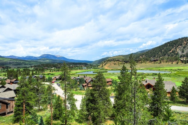 407 Lake Edge Dr, Breckenridge, CO 80424 - photo 12