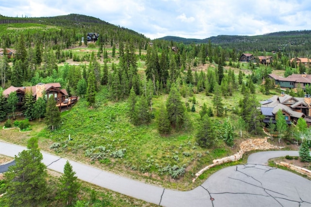 407 Lake Edge Dr, Breckenridge, CO 80424 - photo 1