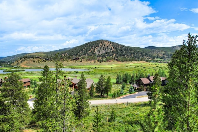 407 Lake Edge Dr, Breckenridge, CO 80424 - photo 13