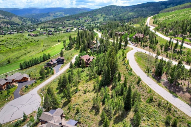 407 Lake Edge Dr, Breckenridge, CO 80424 - photo 10