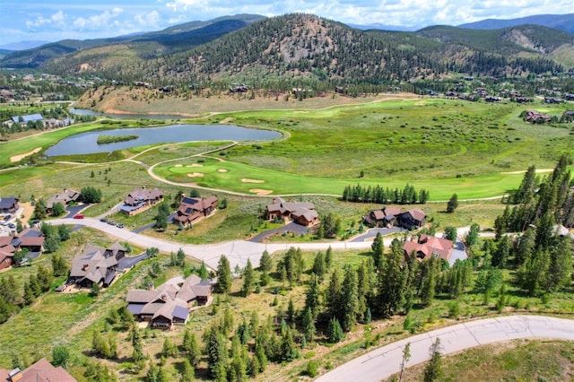 407 Lake Edge Dr, Breckenridge, CO 80424 - photo 9
