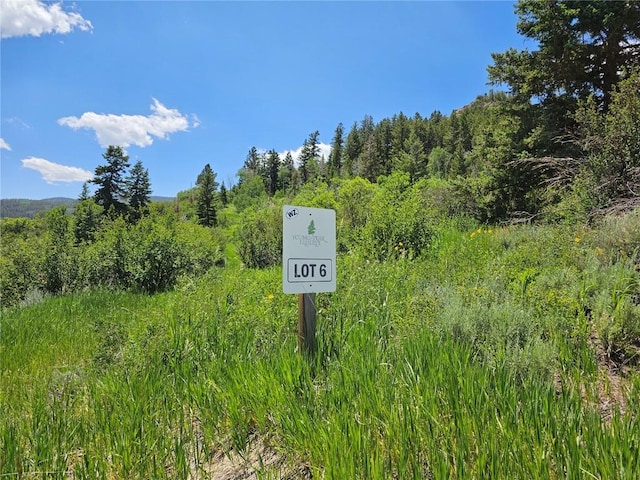 06 Youngs Creek Way, Oak Creek, CO 80467