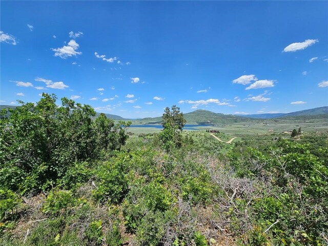 06 Youngs Creek Way, Oak Creek, CO 80467