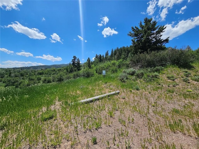 06 Youngs Creek Way, Oak Creek, CO 80467