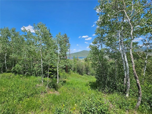 06 Youngs Creek Way, Oak Creek, CO 80467