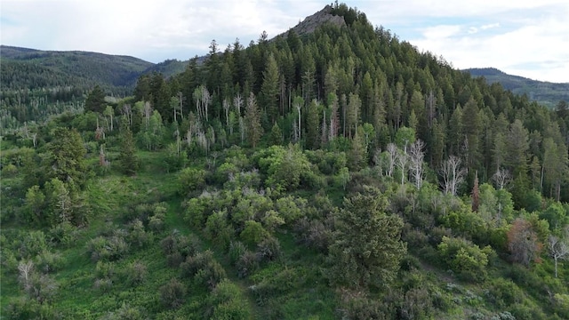 06 Youngs Creek Way, Oak Creek, CO 80467