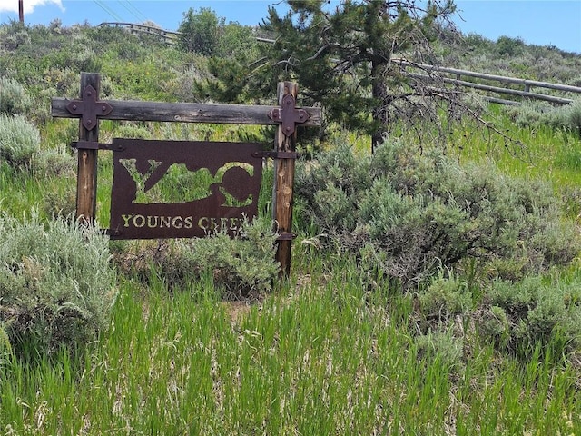 06 Youngs Creek Way, Oak Creek, CO 80467