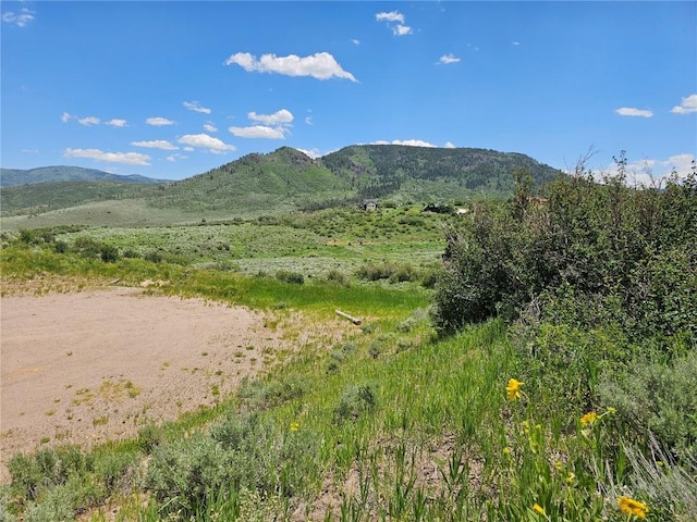 06 Youngs Creek Way, Oak Creek, CO 80467