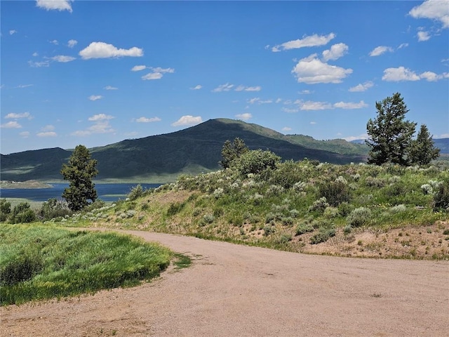 06 Youngs Creek Way, Oak Creek, CO 80467
