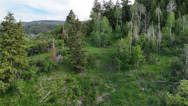 06 Youngs Creek Way, Oak Creek, CO 80467