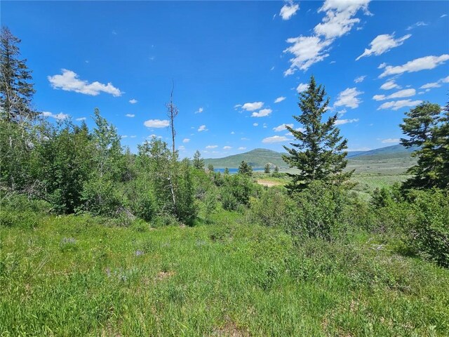 06 Youngs Creek Way, Oak Creek, CO 80467