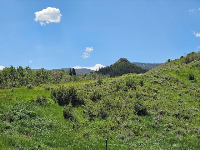 06 Youngs Creek Way, Oak Creek, CO 80467