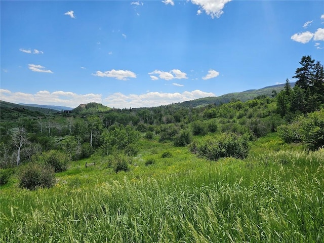 06 Youngs Creek Way, Oak Creek, CO 80467