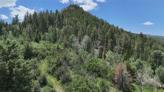 06 Youngs Creek Way, Oak Creek, CO 80467