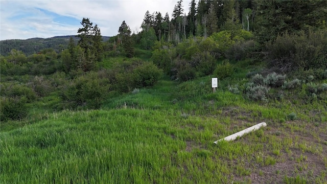 06 Youngs Creek Way, Oak Creek, CO 80467