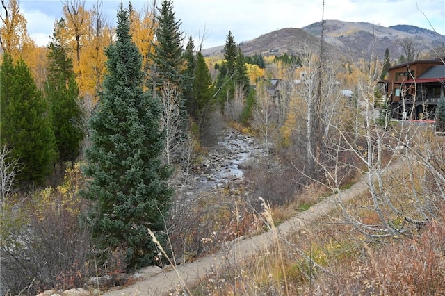 900 Angels View Way, Steamboat Springs, CO 80487
