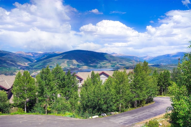 10 Black Diamond Trl Unit 10D, Silverthorne, CO 80498 - photo 42