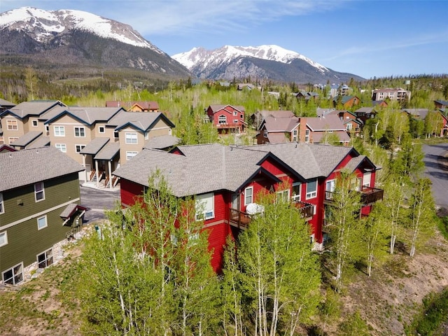 10 Black Diamond Trl Unit 10D, Silverthorne, CO 80498 - photo 43