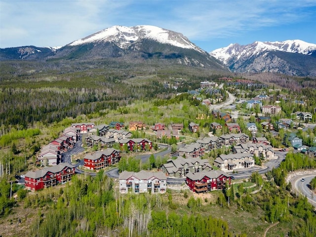 10 Black Diamond Trl Unit 10D, Silverthorne, CO 80498 - photo 47