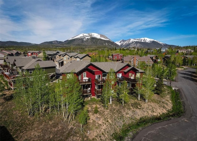10 Black Diamond Trl Unit 10D, Silverthorne, CO 80498 - photo 46