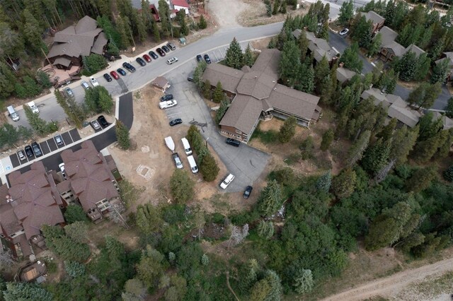 110 Sawmill Rd Unit 7D, Breckenridge, CO 80424 - photo 40