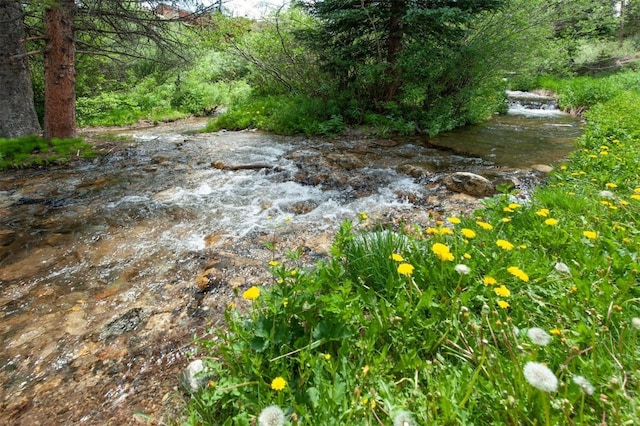 110 Sawmill Rd Unit 7D, Breckenridge, CO 80424 - photo 31