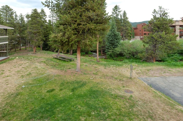 110 Sawmill Rd Unit 7D, Breckenridge, CO 80424 - photo 11