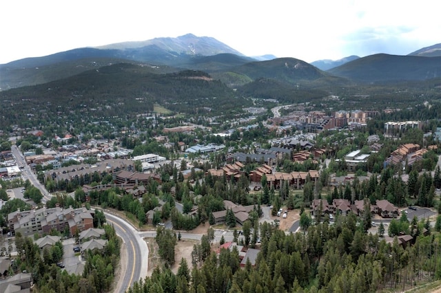 110 Sawmill Rd Unit 7D, Breckenridge, CO 80424 - photo 46