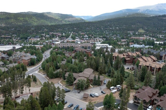 110 Sawmill Rd Unit 7D, Breckenridge, CO 80424 - photo 43