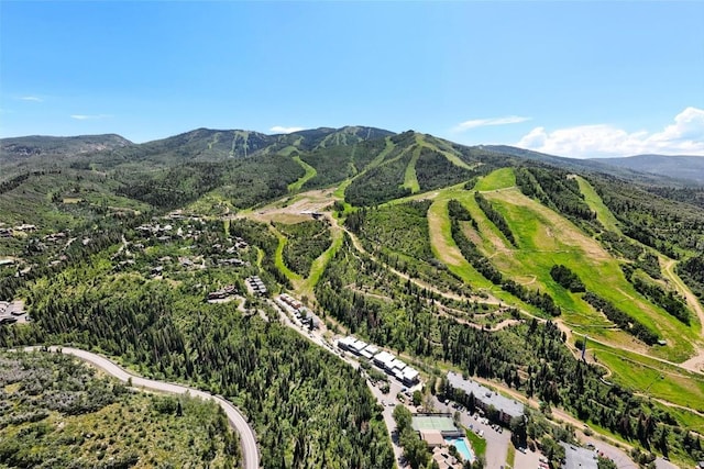 2405 Storm Meadows Dr Unit 1, Steamboat Springs, CO 80487 - photo 44