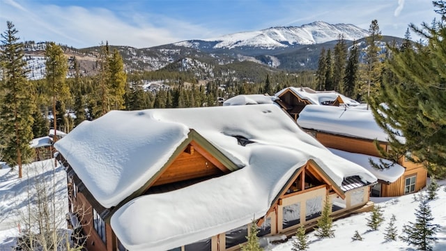 103 Victory Ln, Breckenridge, CO 80424 - exterior space