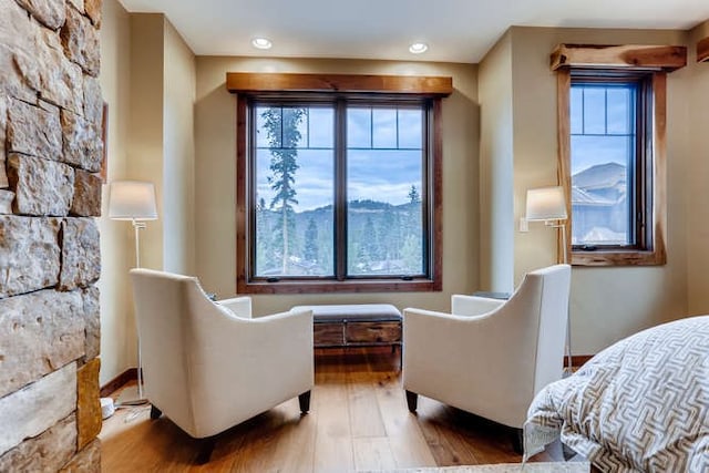 103 Victory Ln, Breckenridge, CO 80424 - living area featuring wood finished floors and recessed lighting